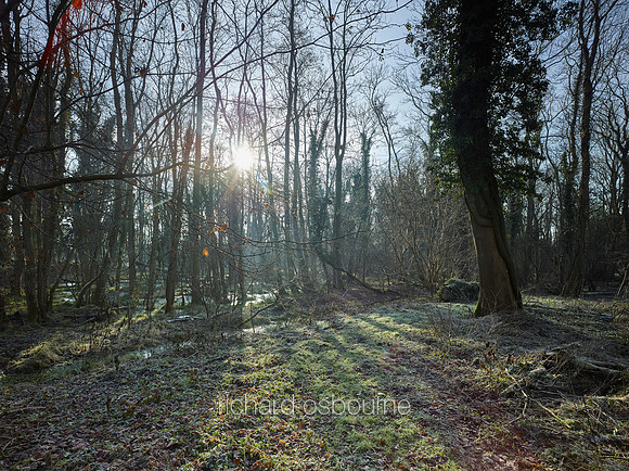 NWT Swangey Fen, Norfolk, UK