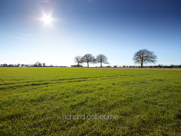 V6N1  Winter Fields, Norfolk, UK