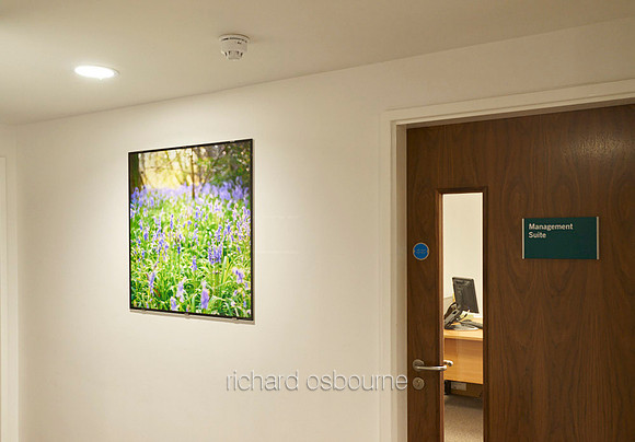 BMI The Alexandra Hospital, Cheadle