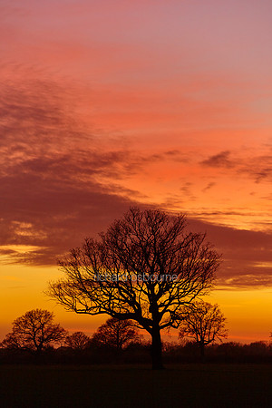 V9N14  Sunset, Fritton, Norfolk, UK