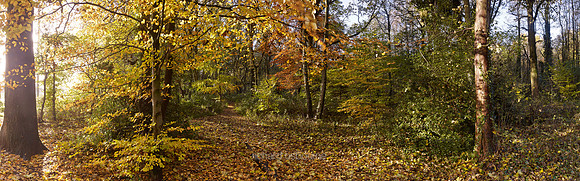 P3F45  Autumn, Wythenshawe Park, Manchester, UK