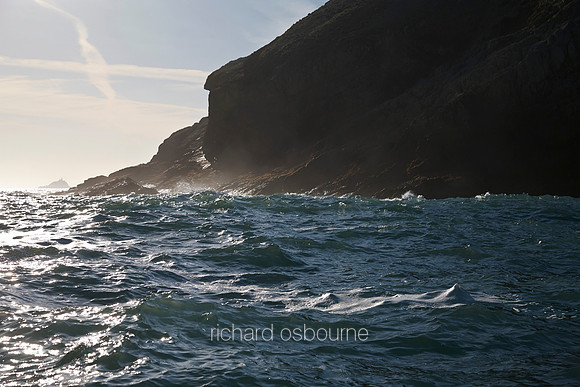 V8L36  Ramsey Island, Pembrokeshire, Wales, UK