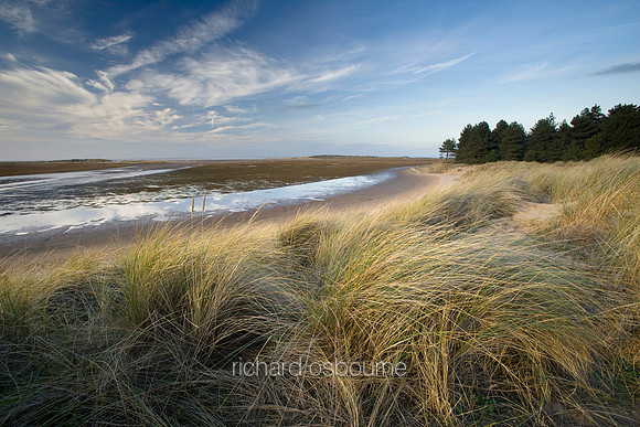 V3L33 Holkham II