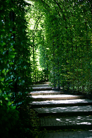 L1G24 The Alnwick Garden