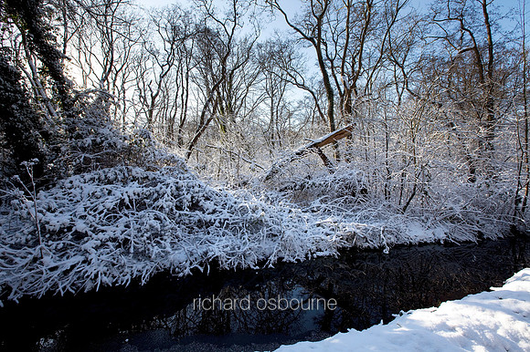 Winter, Upton Broad and Marshes, Norfolk, UK