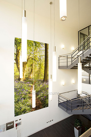 PhotoFab Tension Fabric Wall in Broadland Business Park, Norwich