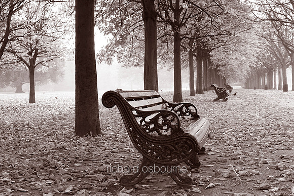 V4BW16  Autumn, Greenwich Park, London, UK
