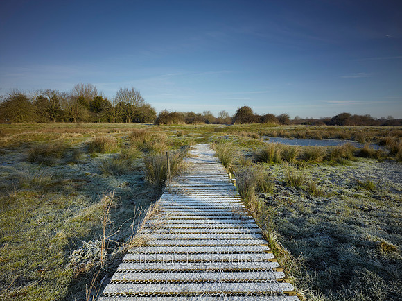 NWT New Buckenham Common, Norfolk, UK