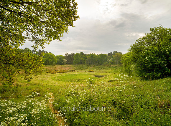 V5N5  Doeline Pond, Thetford Forest, Norfolk, UK