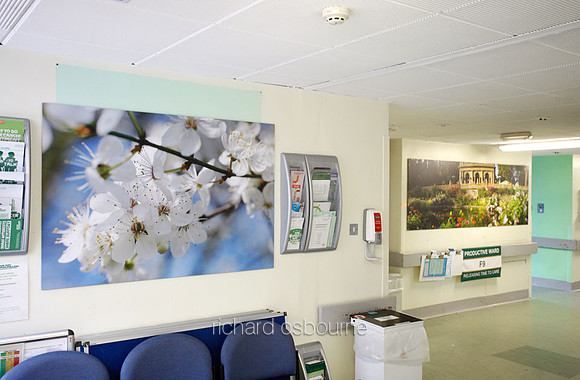 UHSM Wythenshawe Hospital - PhotoPanel, 1350 x 900mm