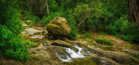 P5F40  Waterfall, Slieve Donnard, County Down, Northern Ireland