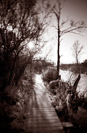 V4BW13  Boardwalk, NWT Cockshoot Broad, Norfolk, UK