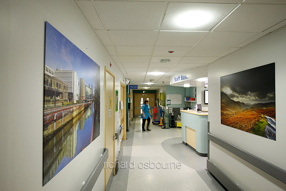 UHSM Wythenshawe Hospital - PhotoPanel, 1350 x 900mm