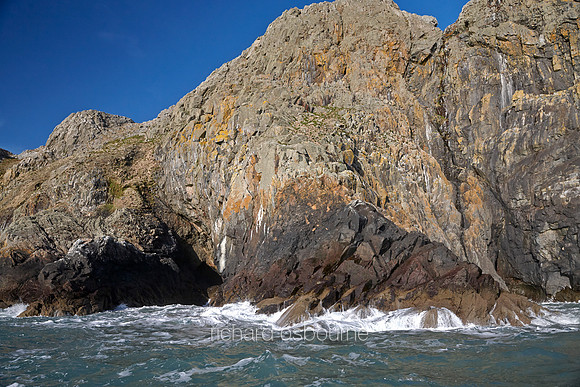 V8L38  Ramsey Island, Pembrokeshire, Wales, UK