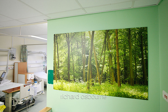 UHSM Wythenshawe Hospital - PhotoPanel, 1350 x 900mm