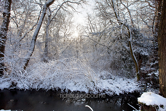 Winter, Upton Broad and Marshes, Norfolk, UK