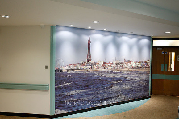 PhotoWall Laminated Wallpaper 4.5 x 2.4m