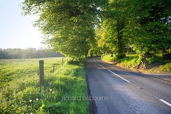 L1N5 Tasburgh