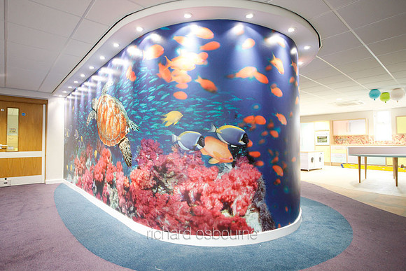 PhotoWall Laminated Wallpaper 9.5 x 2.4m