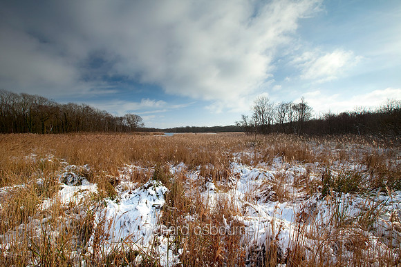 V5N11  Winter, Upton Broad and Marshes, Norfolk, UK