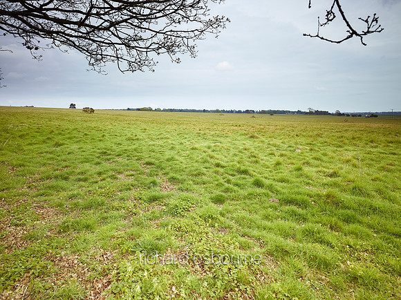 NWT Thetford Heath, Norfolk, UK