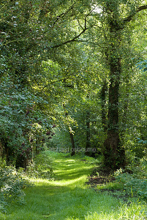 Upton Broad and Marshes, Norfolk Broads, UK