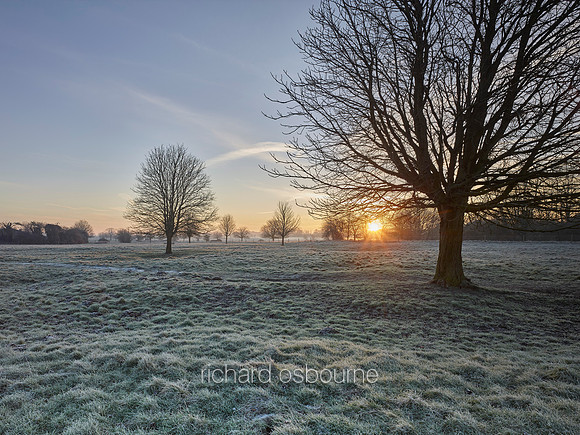 NWT New Buckenham Common, Norfolk, UK