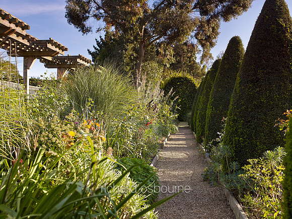 V7G16  East Ruston Old Vicarage Garden, Norfolk, UK