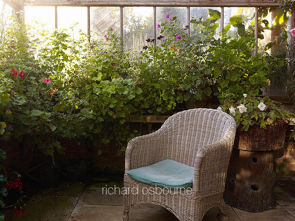 V7G18  East Ruston Old Vicarage Garden, Norfolk, UK