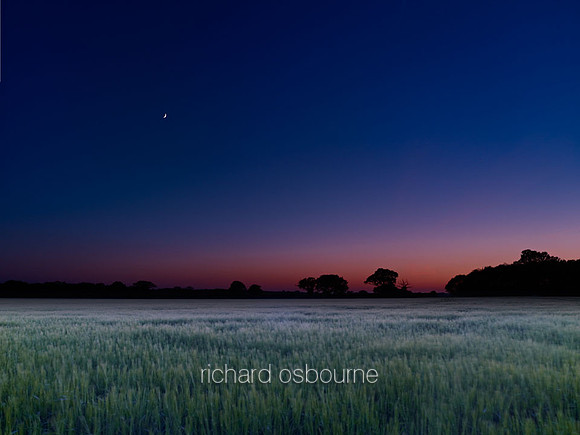 Wheat Field at Dusk, Norfolk