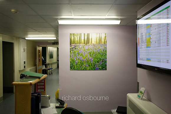 UHSM Wythenshawe Hospital - PhotoPanel, 900 x 900mm