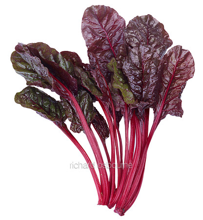 V8FD5  Red Chard