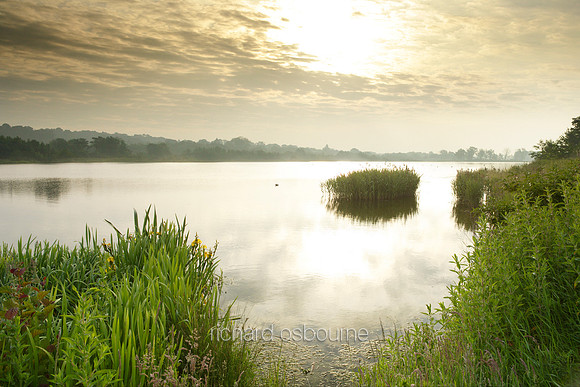 V1N4 Whitlingham Lake, Norwich
