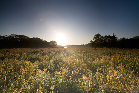 V5N16  Upton Broad and Marshes, Norfolk Broads, UK
