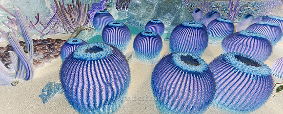 V19A2  Echinocactus Grusonii Abstract