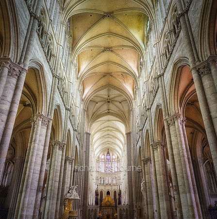 V19AR7  Amiens Cathedral, (Basilique Cathédrale Notre-Dame d'Amiens), France