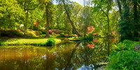 P5L45  Exbury Gardens, New Forest, Hampshire, UK