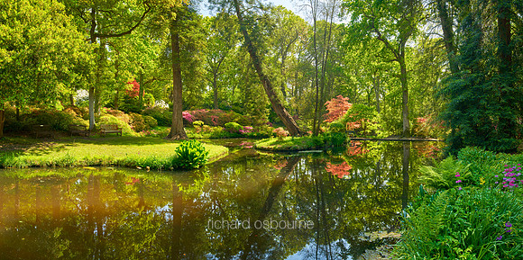 P5L45  Exbury Gardens, New Forest, Hampshire, UK
