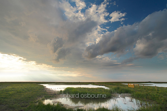 V5N27  NWT Cley Marshes, Norfolk, UK