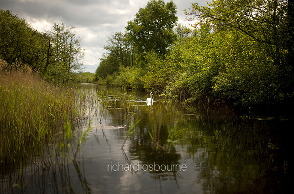 V3L36 Bure Marshes II