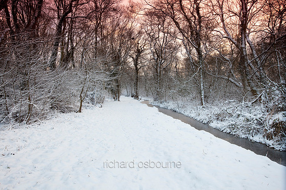 Winter, Upton Broad and Marshes, Norfolk, UK