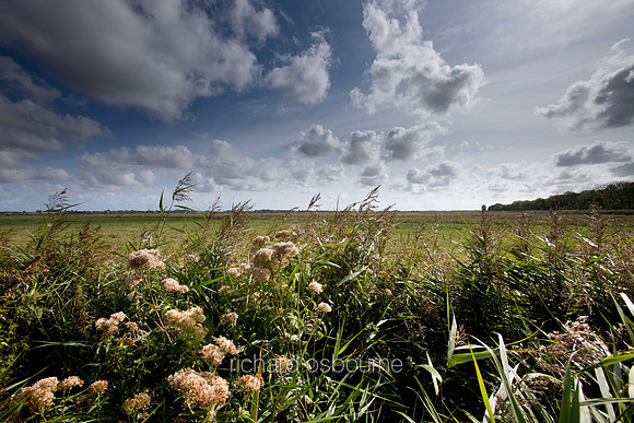V5N13  Upton Broad and Marshes, Norfolk Broads, UK