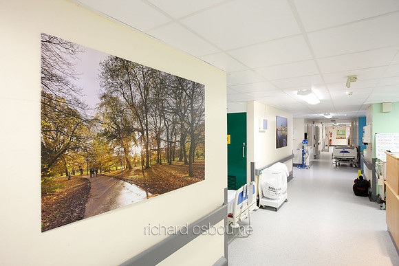 UHSM Wythenshawe Hospital - PhotoPanel, 1350 x 900mm