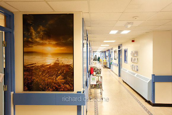 Withybush Hospital, Haverfordwest, Cancer Wards