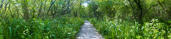 NWT Ranworth Broad, Norfolk, UK