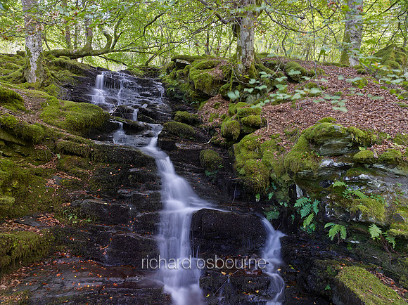 V8RS14  Birks of Aberfeldy, Perthshire, Scotland, UK