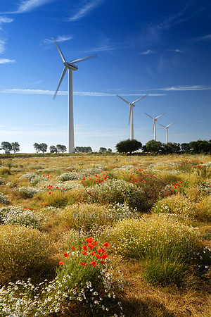 L1N14 Wind Turbines, East Somerton