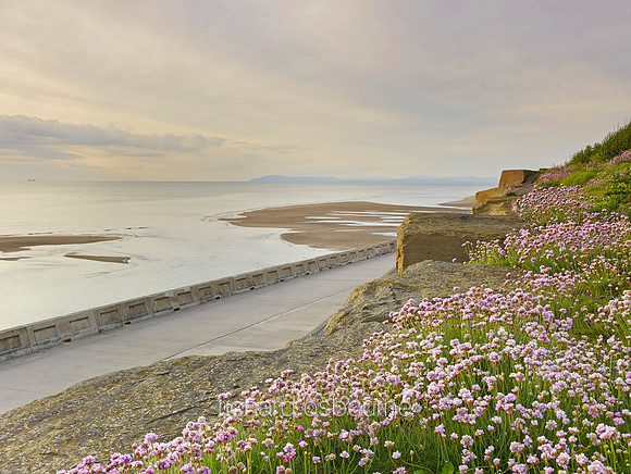 V8L51  Thrift, Blackpool North Shore, Lancashire, UK
