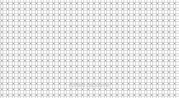 G204 Polar White Circles
