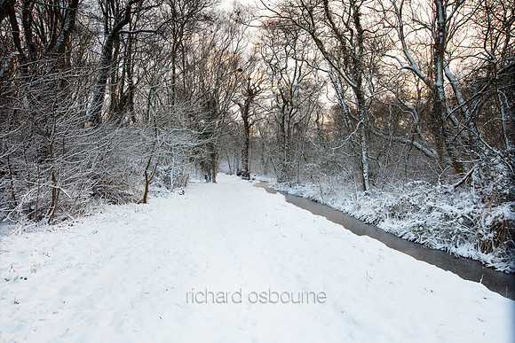 Winter, Upton Broad and Marshes, Norfolk, UK